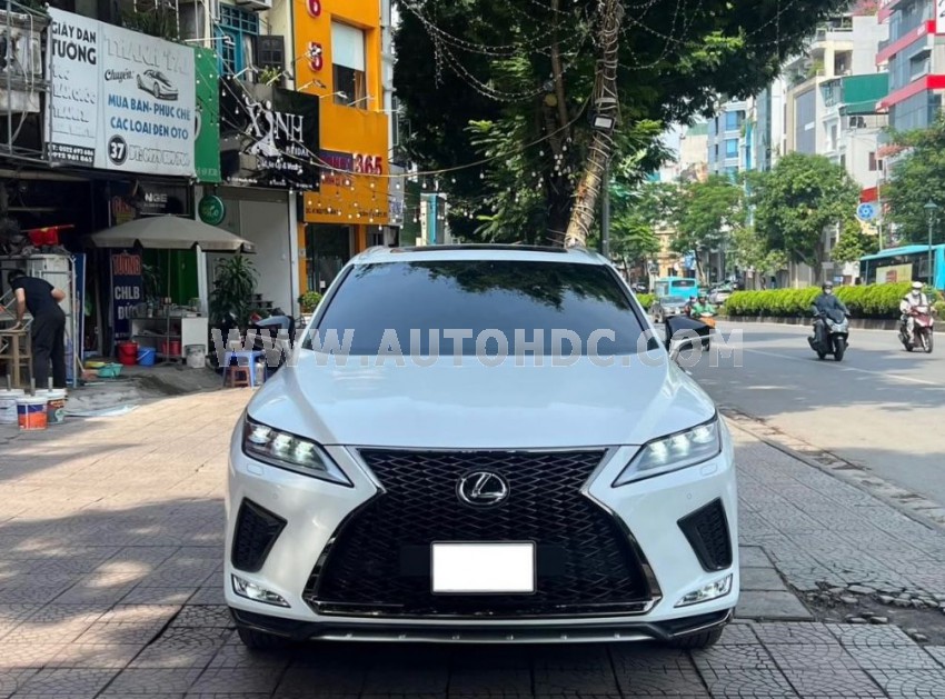 Lexus RX 300 F Sport
